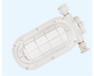 烟台矿用隔爆型LED支架灯